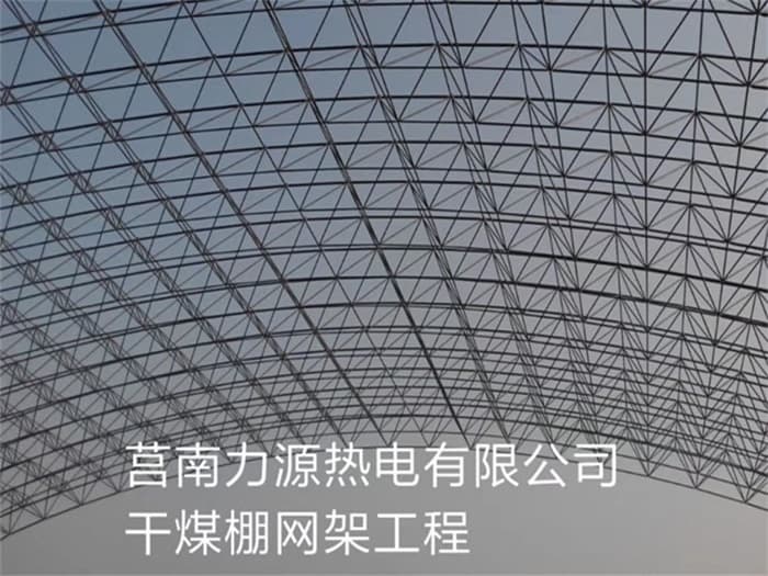 泰兴力源热电有限公司干煤棚网架工程